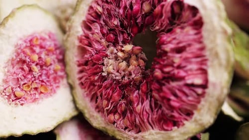 Chinese Herbal Medicine Plant Herb Fig Tea Dried Figs for Herbal Chinese Tea