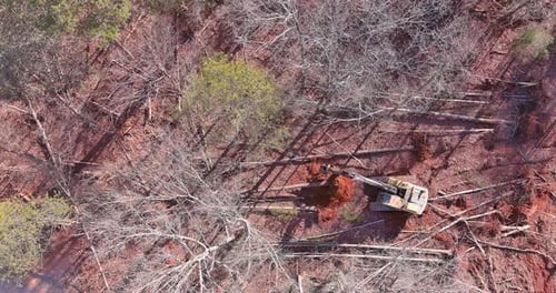Trees are Uprooted the Land is Prepared for Construction By Using a Tractor