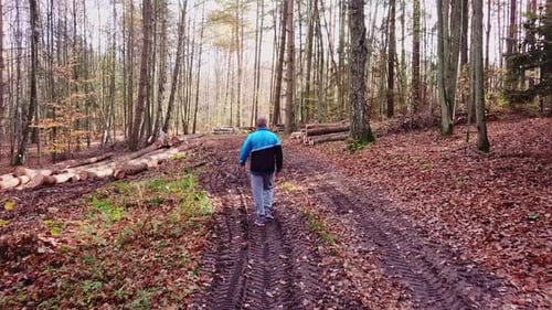Young Man Walking Through a Forest in Autumn Scenery. Hiking in the Woods. Enjoying a Walk in a Fore