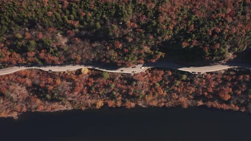Aerial view of hawks nest