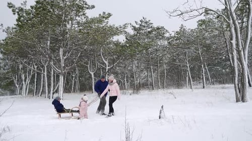 Happy Family Sledding on Snowy Winter Day Daughter Helps Father and Mother to Pull Sled with Son on