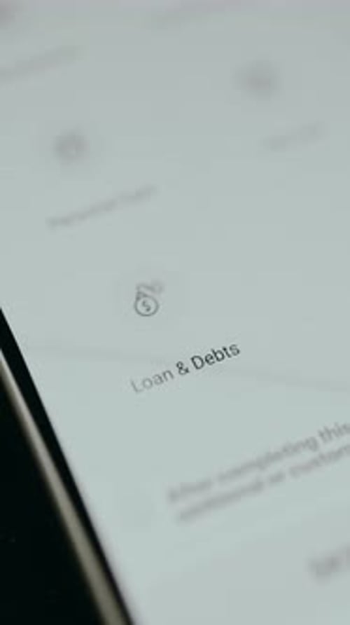Loan and Debts Section From a Financial Application Interface