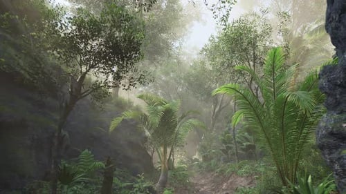 Lush Tropical Jungle Path with Sun Rays Animated Background