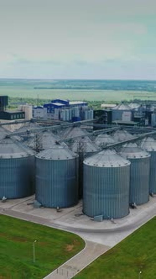 Silos of grain elevator. Plant for storage and processing of grain