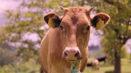 Young woman choosing clothes in boutique with clothes or shopping mall.