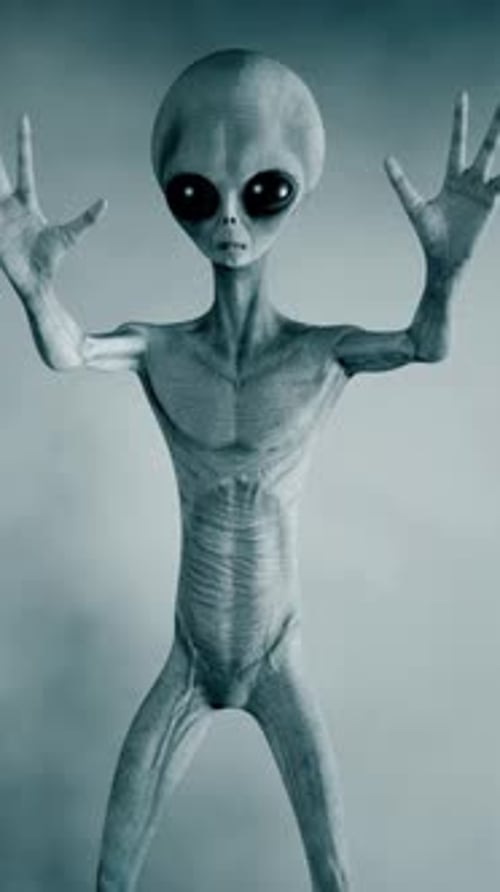 Scary Gray Aliens Walk and Look Blinking on a