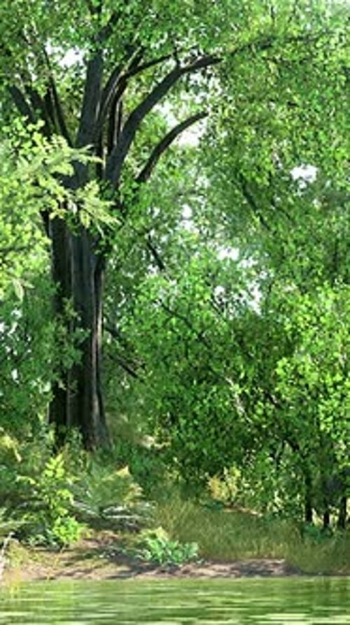 Scenic Lake in the Summer Park