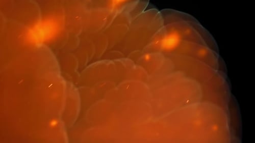 Warm Amber Clouds with Floating Sparks and Smoky Backdrop Filmed on a Highspeed Camera at 1000 Fps