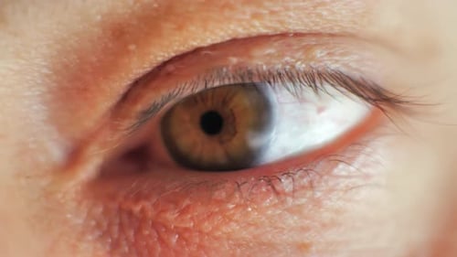 Human Eye Iris Contracting
