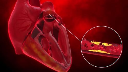 3d animations heart pumps blood