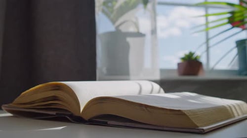 Open Book Pages Turning near Window with Sunlight