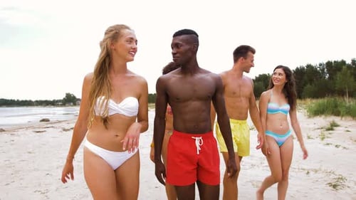 Friends Walking and Talking on Sandy Beach