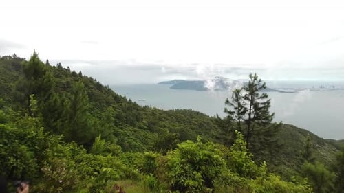 Tropical Forest Meets Sea, Young Adult Hiker