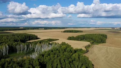 Bela vista de um campo agrícola infinito em um dia nublado de outono
