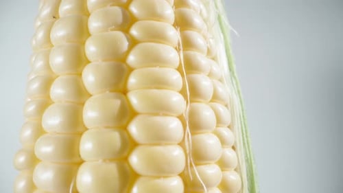 Corn cob with leaves rotates on a white background, close-up, the camera slides down.