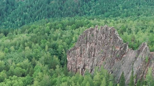 A Majestic Ancient Rock Formation Rising Amidst the Enchanting Forest Canopy