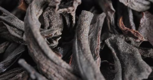 Black large-leaf tea Super Macro Close Up.