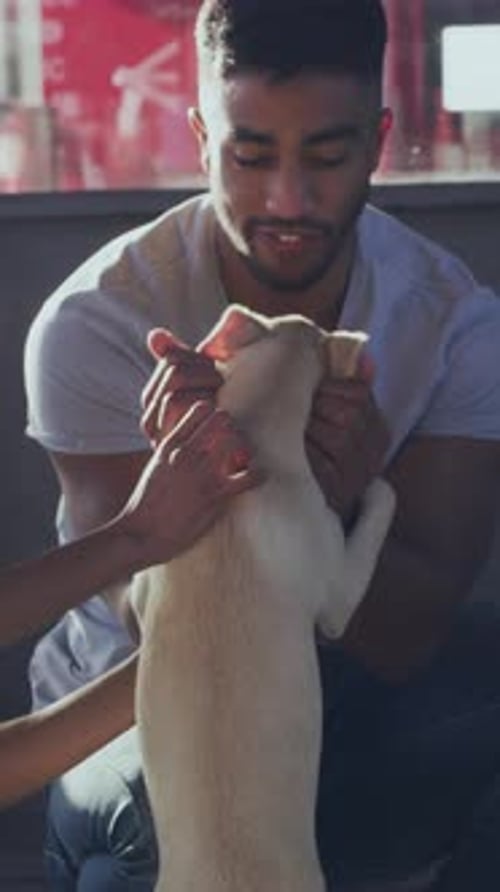 Animal shelter, happy and couple with dog for adoption, bonding and puppy choice for foster care