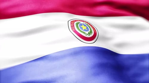 Realistic Waving Paraguay Flag for National Events