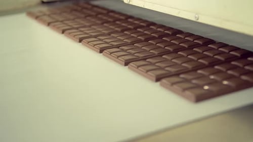 freshly made chocolate bars on the conveyor line