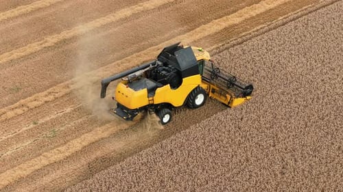 Combine Harvester Harvesting Wheat Crop in the Field