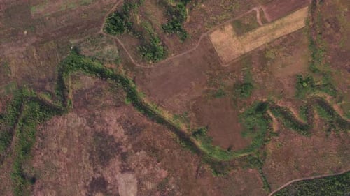 Luftaufnahme eines ausgetrockneten Flusses in einem braunen Feld mit grünen Bäumen, die dem Flussverlauf folgen