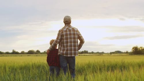 Fermier et son fils devant un paysage agricole au coucher du soleil, un homme et un garçon dans un champ de campagne
