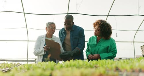 Scientists and Farmers Discussing Crop Growth in Greenhouse