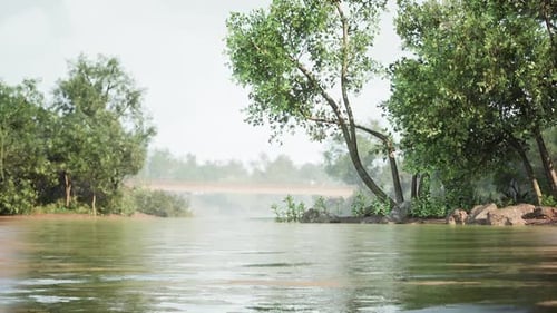 Serene Riverbank View with Lush Greenery and a Distant Bridge in Daylight