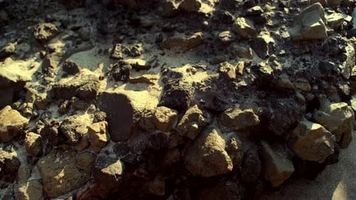 Sunlit Beach Rock Texture