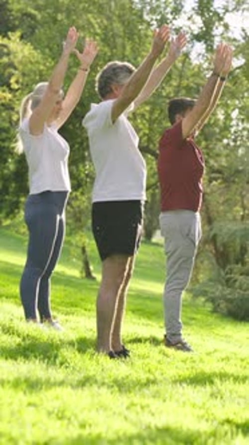 Mature Friends Doing Yoga Exercises Together Outdoors in a Park Vertical