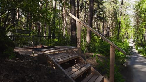 Cemitério florestal na Europa com túmulos lindamente arranjados