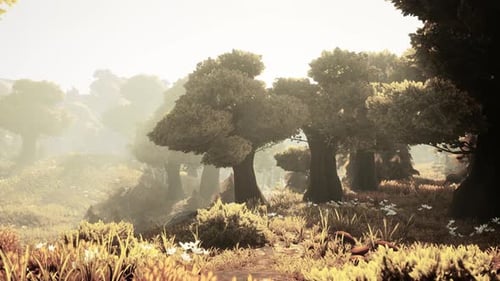 Cartoon Flowering Green Forest on Sunset