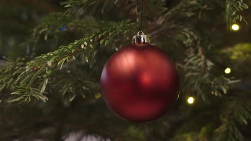 Close up of a red shiny Christmas decoration in a tree