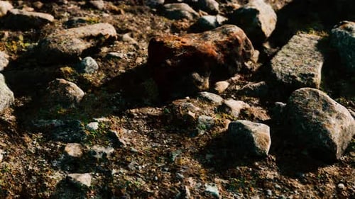 Close Up of Rocky Stones Formation