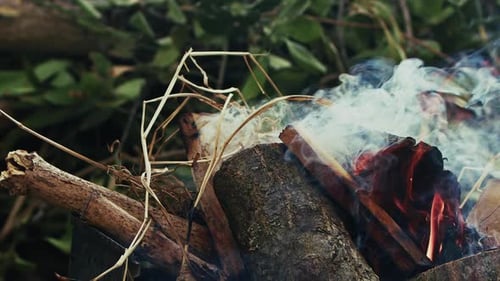 Burning Wood Branches Fire And Smoke In Nature 2