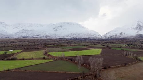 farmland and snowy mountains