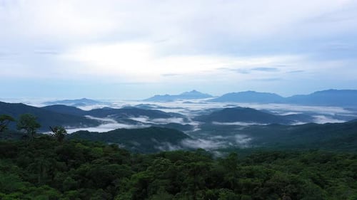 Aerial View of Mountains and Cloud-Covered Forests