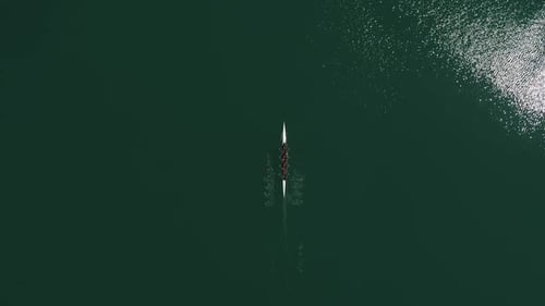 Luftaufnahme eines Ruderteams im Boot, das zusammen im grünen offenen Wasser rudert.
