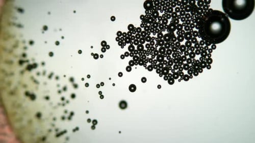 Microscopic Fluid Particles Moving and Coalescing