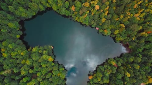 Autumn Forest and Lake