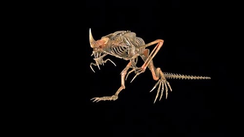 Devil Dinosaur Skeleton Run Idle