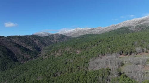 ascending flight on a mountain with snow-capped peaks with slopes with pine forests and green meadow