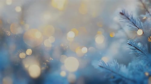Erleben Sie das bezaubernde Gefühl eines Winterwunderlands voller Frost und glühender Lichter
