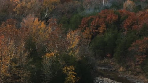 Creek Through Autumn Trees In The Forest Near Cedar Flats In Banyard, Arkansas, USA. Aerial Drone Sh