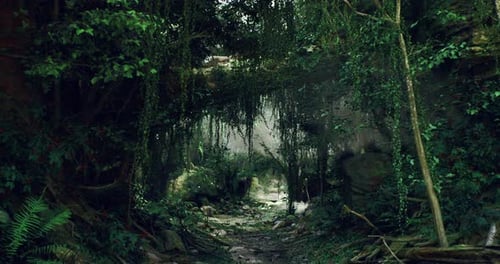 Lush Green Forest Pathway Leads to Serene Hidden Landscape