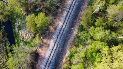 Luftüberführung von Bahngleisen im Wald im Sommer (Wisconsin)