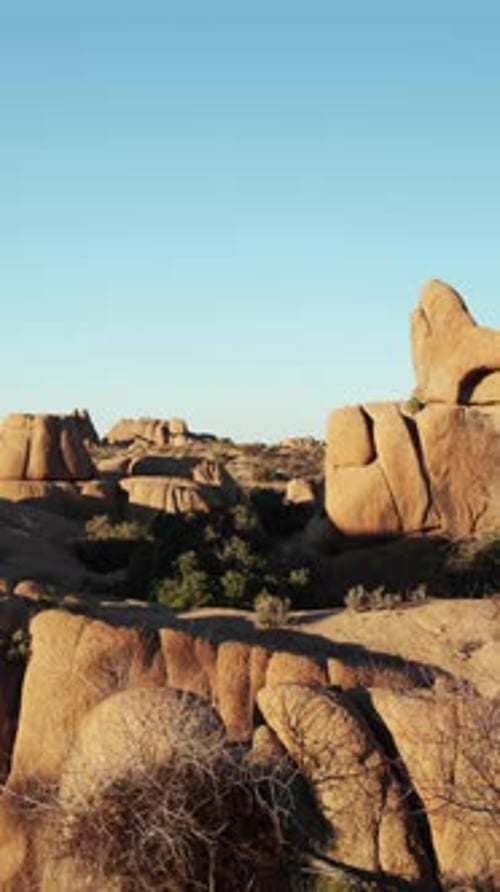 Joshua Tree National Park California United States of America in Vertical