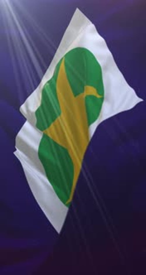 Waving Islamic Flag with Star and Crescent Design