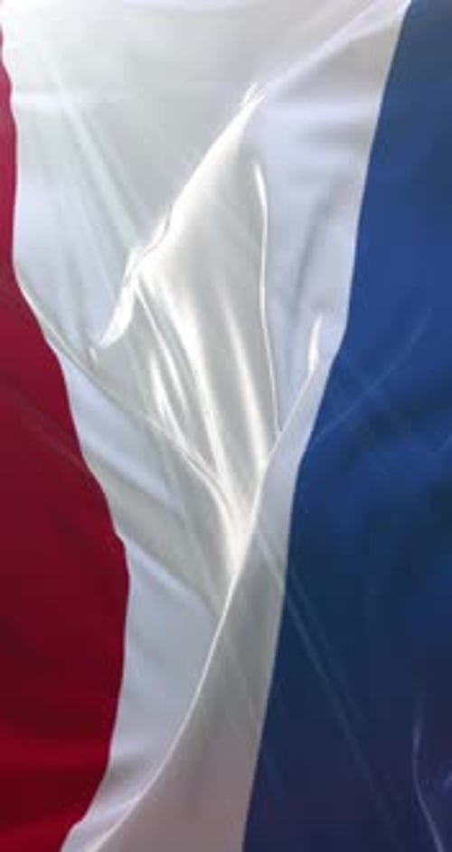 Realistic Waving French Flag Vertical Background Loop